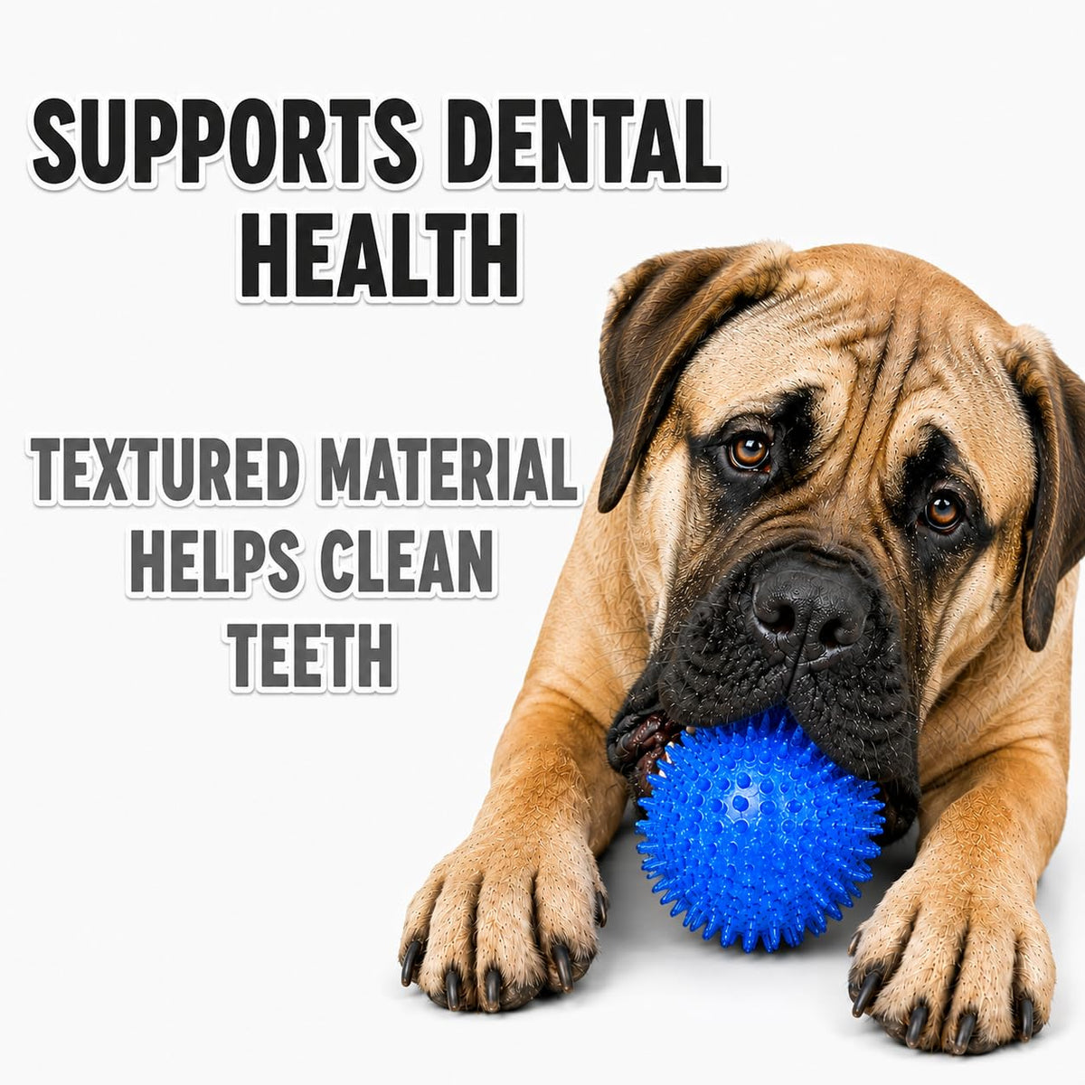 Dog Toy For Aggressive Chewers  No Stuffing Crinkle Plush 3-in-1 Elephant , Durable Squeaky Bouncy Chew Ball Cleans Teeth, Power Chewer Puppy Teething Medium Large Breed Gift