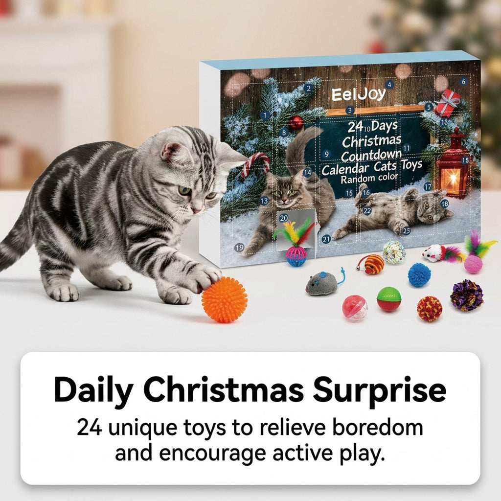 EelJoy 24-Day Christmas Advent Calendar Cat Toy
