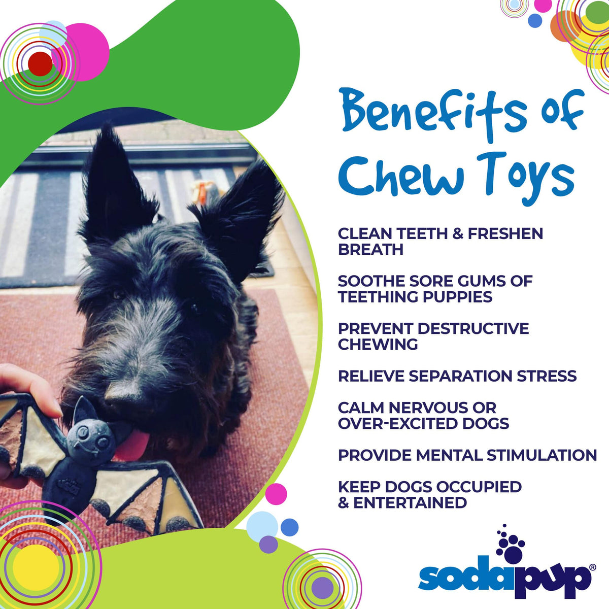 Vampire Bat Nylon Dog Chew Toy for Aggressive Chewers | USA Made & FDA Compliant
