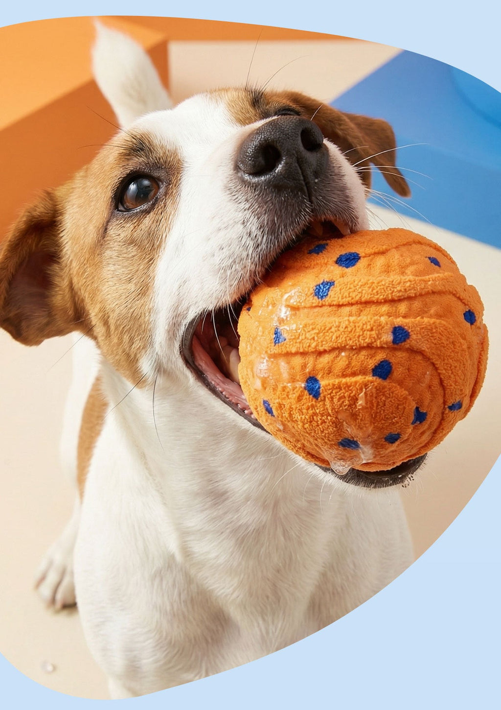 Electric Round Non-Toxic Dog Chew Toy Ball For Training