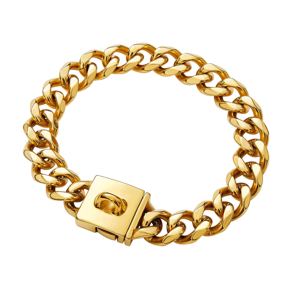 Stainless Steel Gold And Silver Buckle Pet Dog Necklace Collar