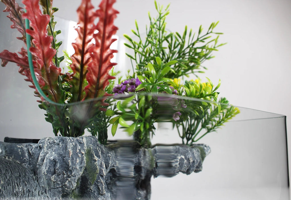 1.85 Gallons Glass Aquarium for Live Plants and Fish