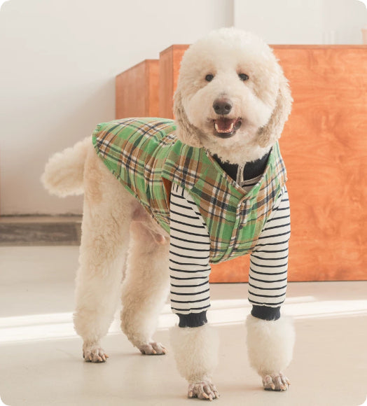 Thermal Protection Labrador Golden Retriever Samoyed Premium Pet Clothing