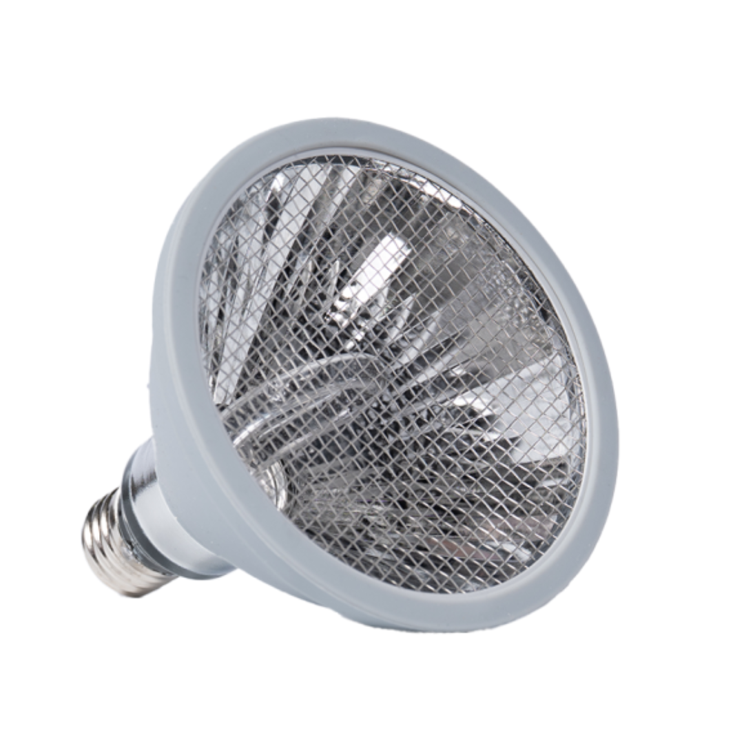 InfraGlo Heat Lamps