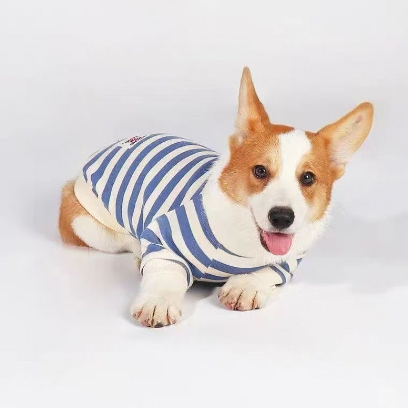 Clothes For Medium To Large Dogs Corgis And Shih Tzus