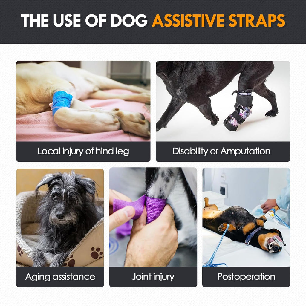 Adjustable Dog Lift Harness, Dog Sling For Large Dogs Lift Support And Rehab Harness For Weak Rear Legs, Soft Hind Leg Support Helps Senior, Injured, Disabled And After ACL Surgery Dogs