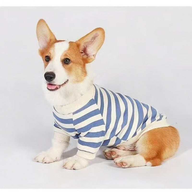 Clothes For Medium To Large Dogs Corgis And Shih Tzus