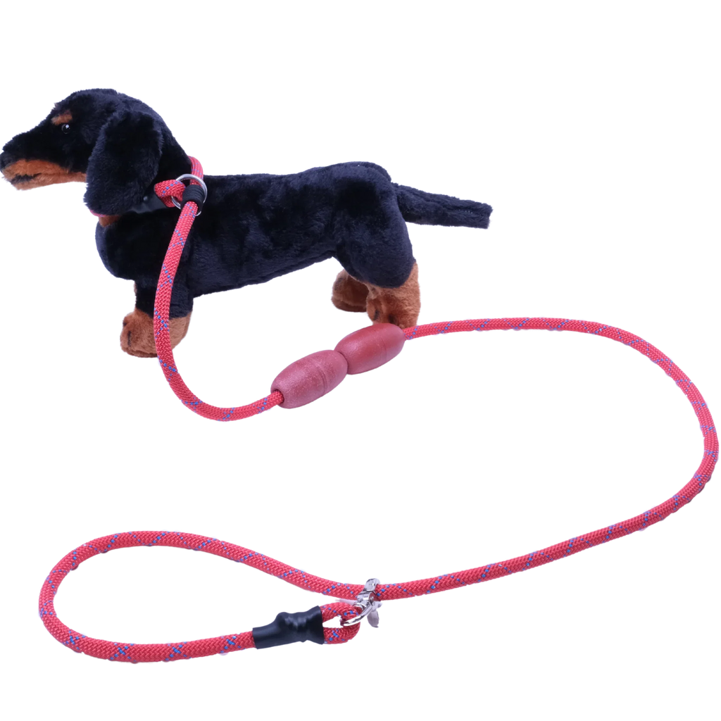 Floating Rescue Pro Leash