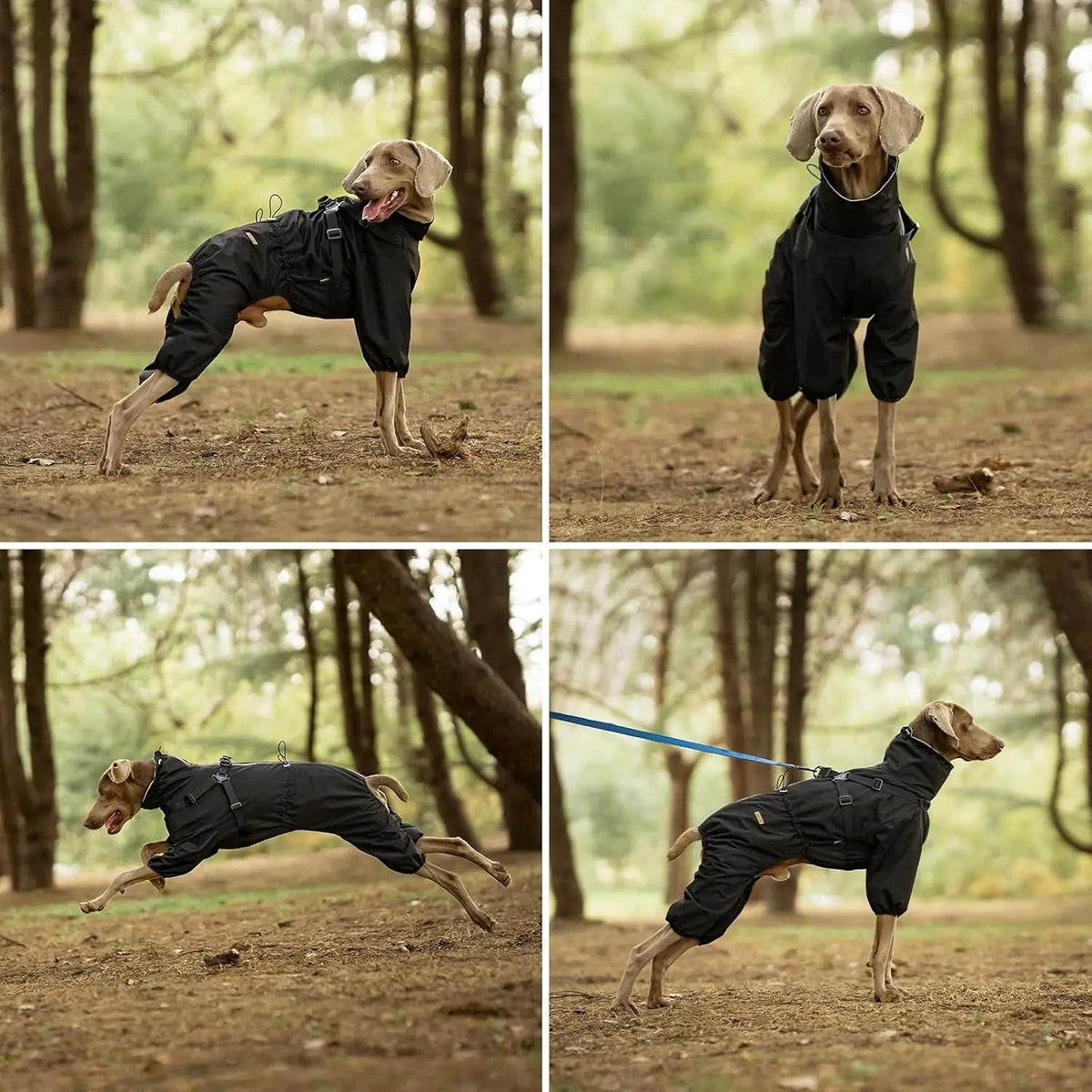 Adjustable Waterproof Dog Raincoat with Harness Reflective 4-Leg Jacket S–5XL