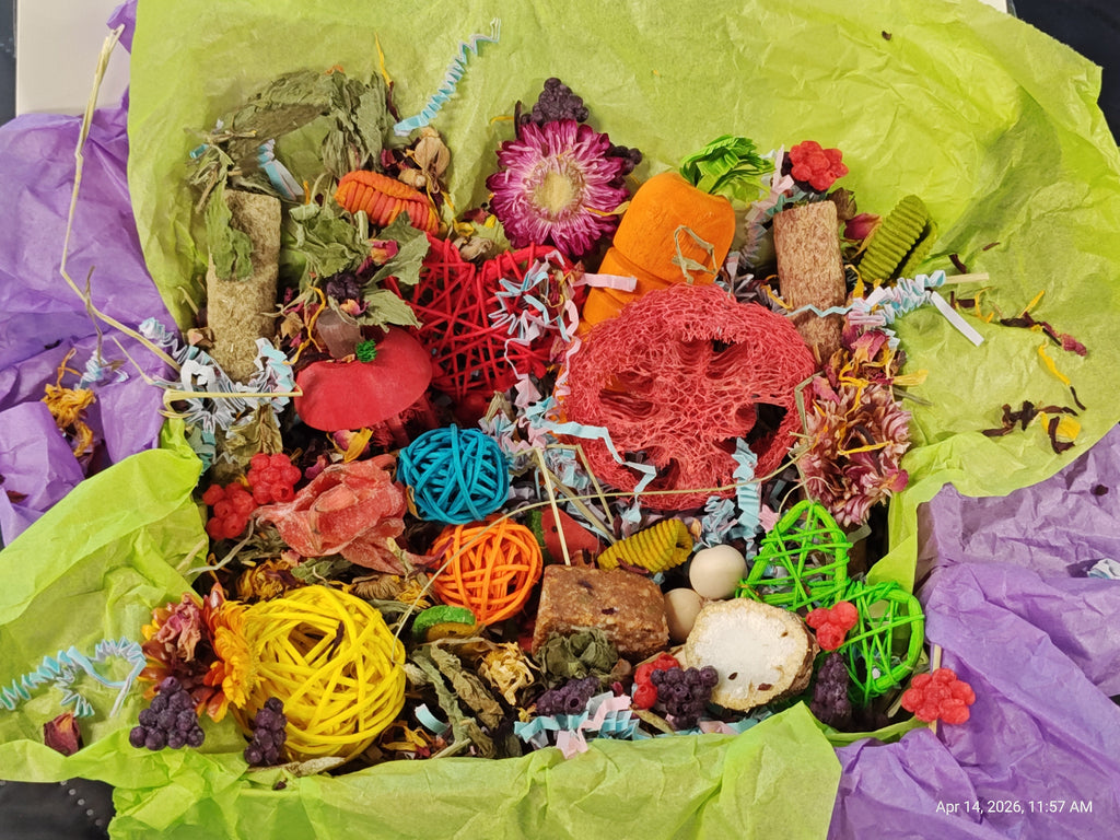 Ultimate Toy, Chew and Treat box for Guinea Pigs, Chinchillas, Rabbits & Rats
