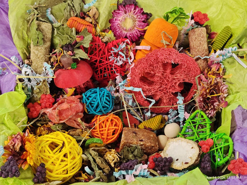 "Ultimate" Toy, Chew and Treat Box - Chinchillas, Guinea Pigs, Rabbits, Rats