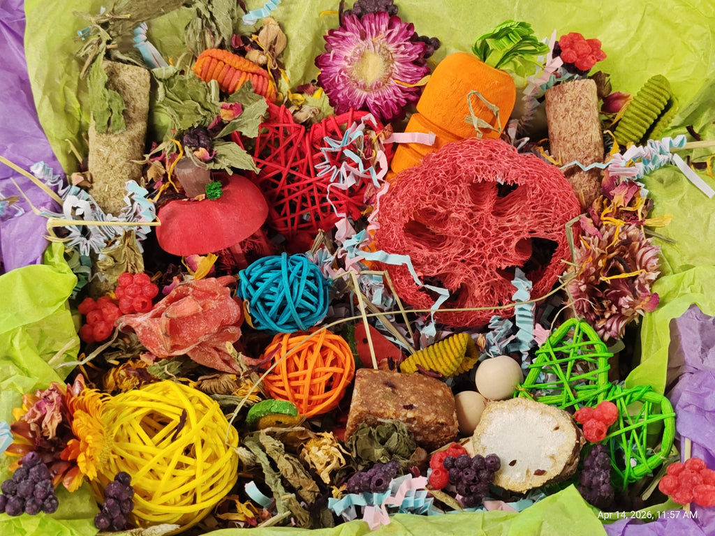 Ultimate Toy, Chew and Treat box for Guinea Pigs, Chinchillas, Rabbits & Rats