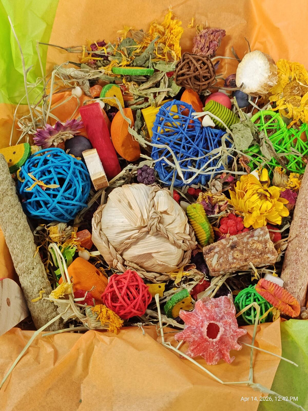 "Ultimate" Toy, Chew and Treat Box - Chinchillas, Guinea Pigs, Rabbits, Rats