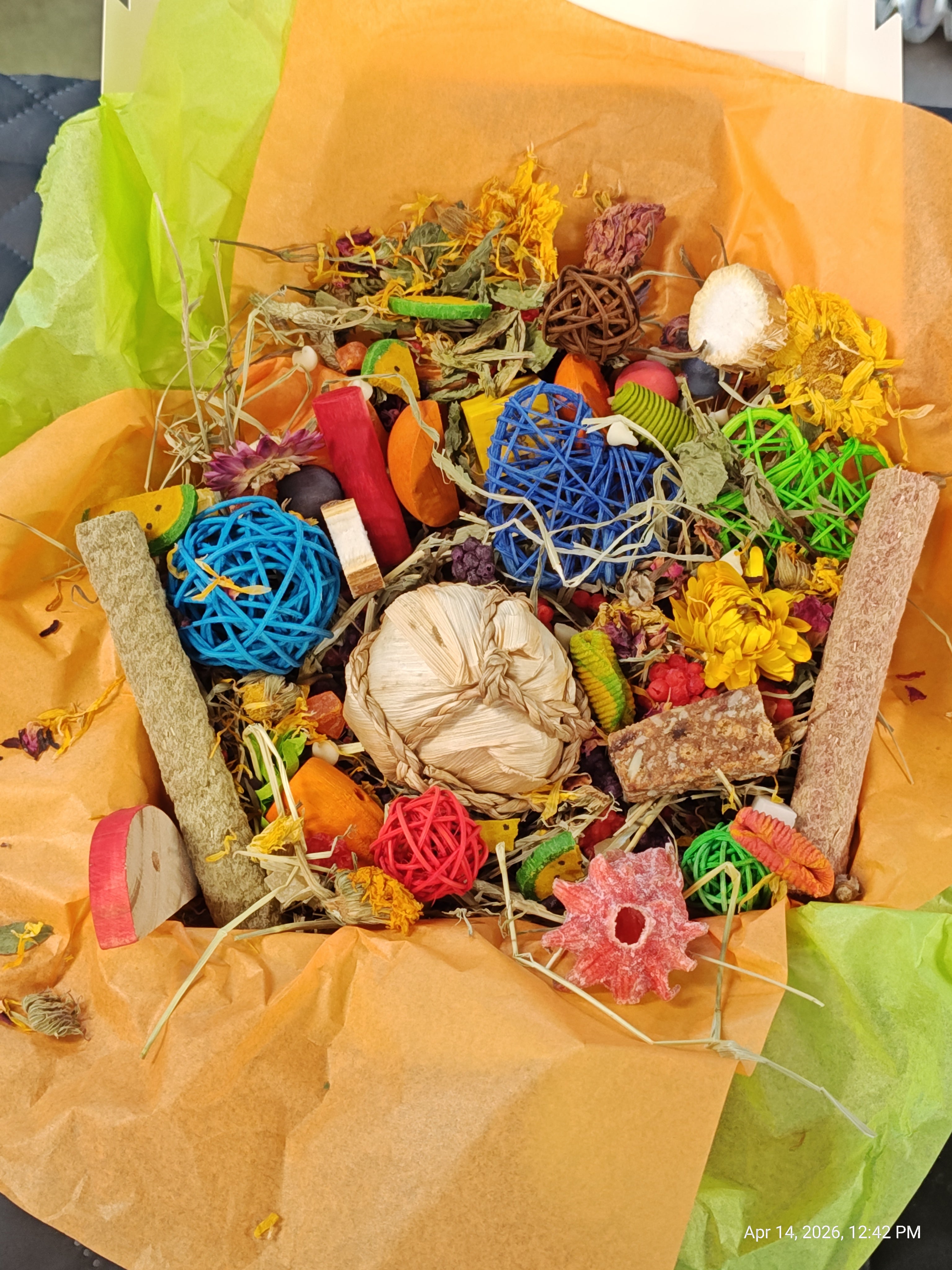 Ultimate Toy, Chew and Treat box for Guinea Pigs, Chinchillas, Rabbits & Rats