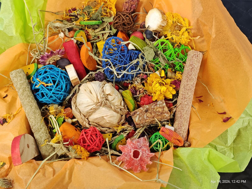 "Ultimate" Toy, Chew and Treat Box - Chinchillas, Guinea Pigs, Rabbits, Rats