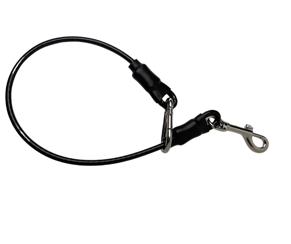 Leash Leader