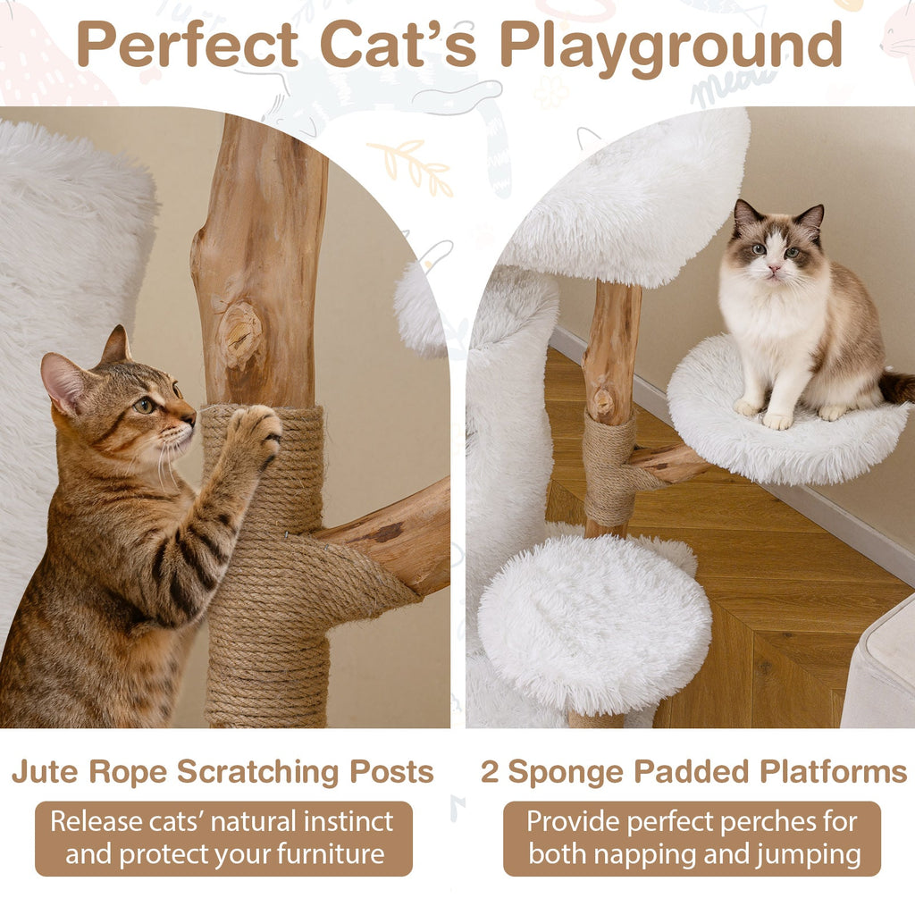 Modern Cat Tree for Indoor Cats 30.5 Cat Tower with Real Solid Wood Branches-White