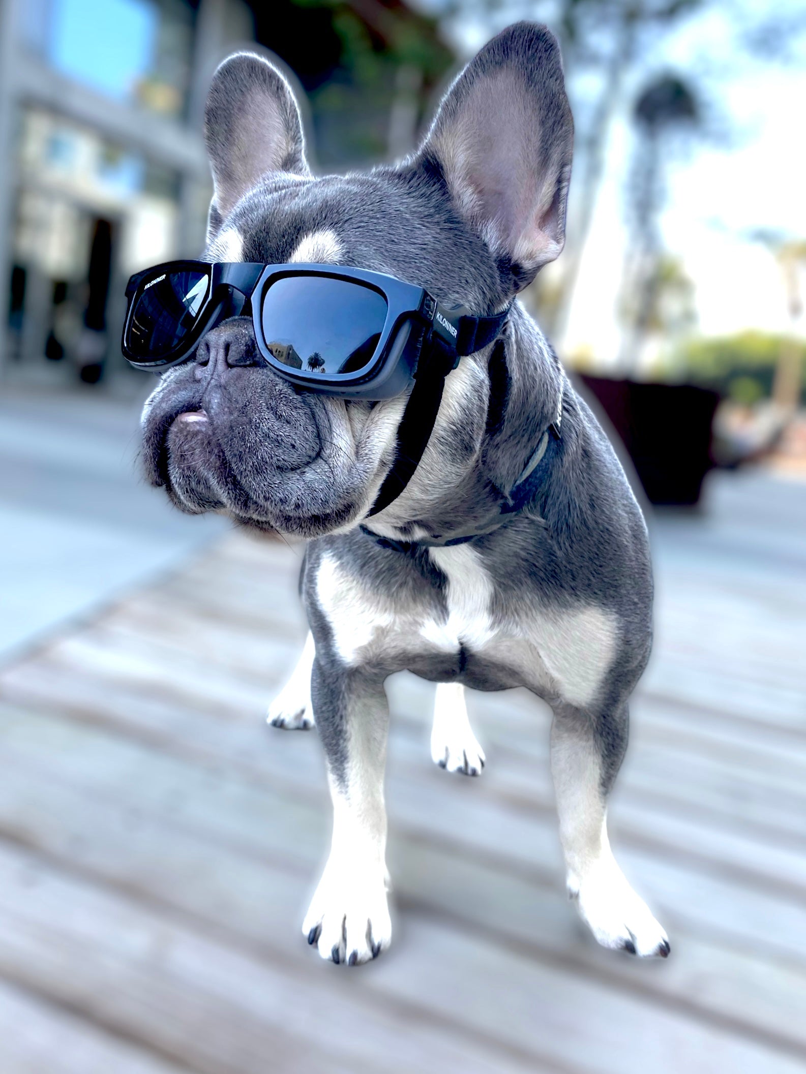 W1 Eye Defender Goggles
