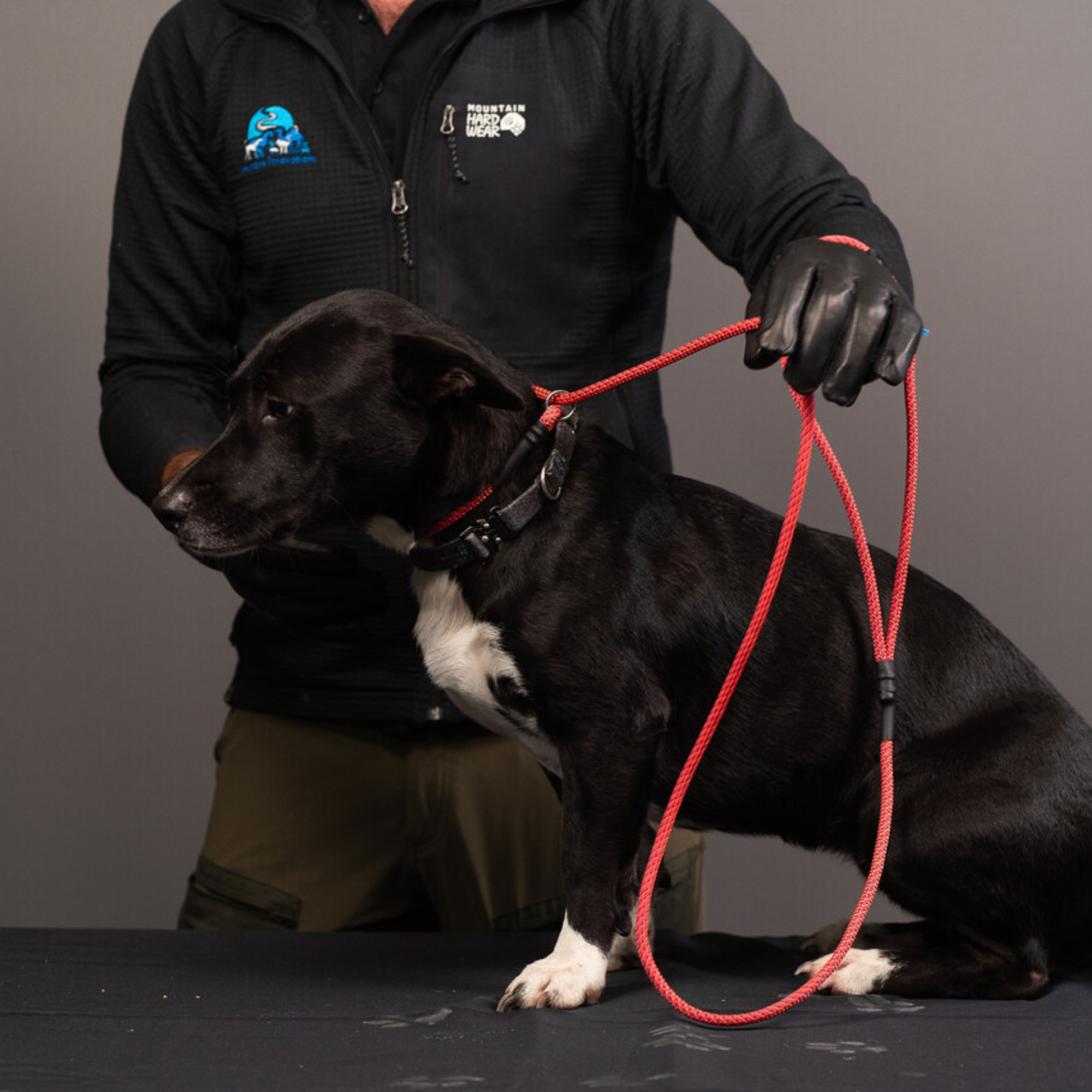 Rope Slip Leash - Small