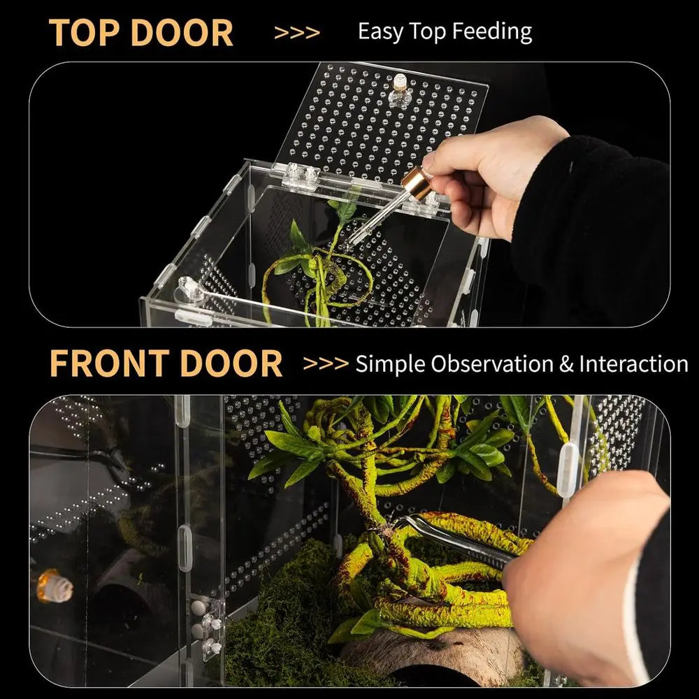 Acrylic Reptile Terrarium 360° Clear & Keep Pet Secure. Design for Jumping Spiders, Tarantulas, Geckos