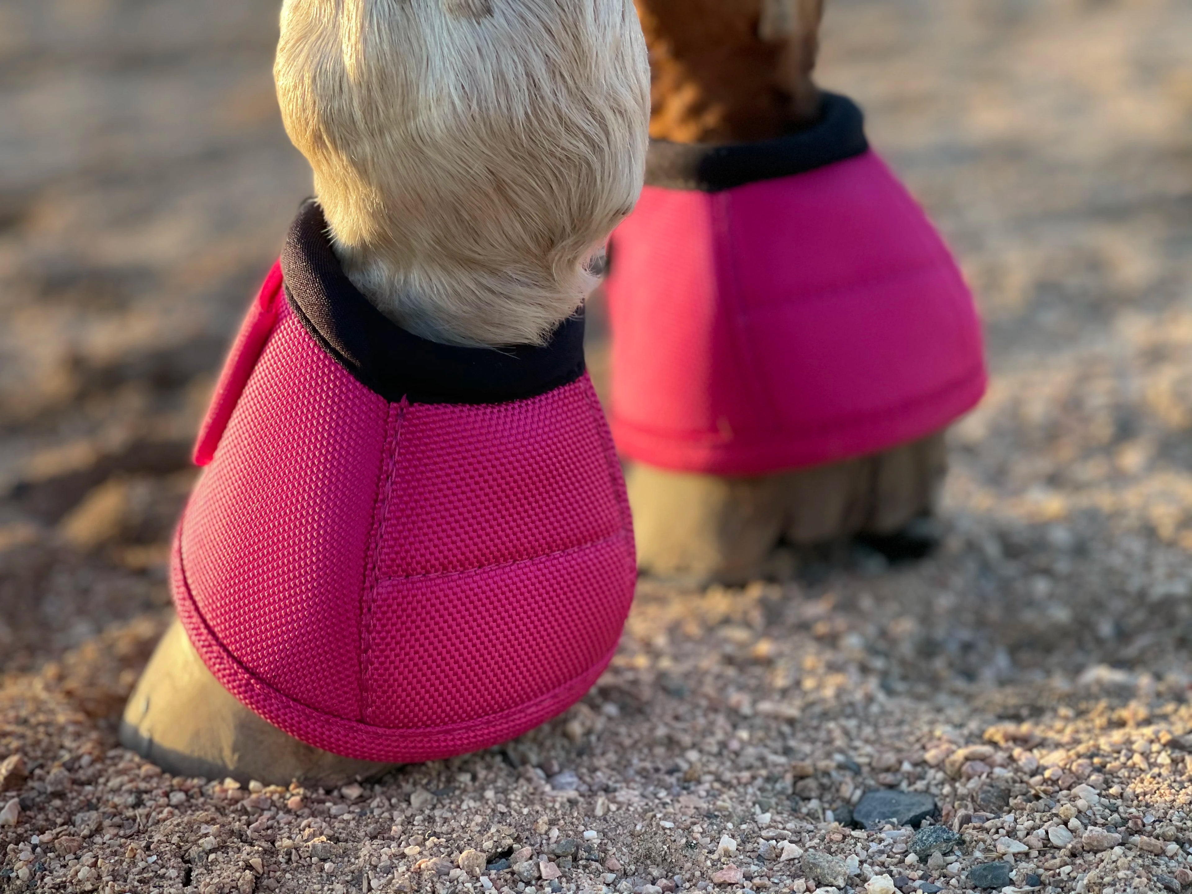 RIDING 2520D Ballistic Hoof Overreach Horse Bell Boots, Pair