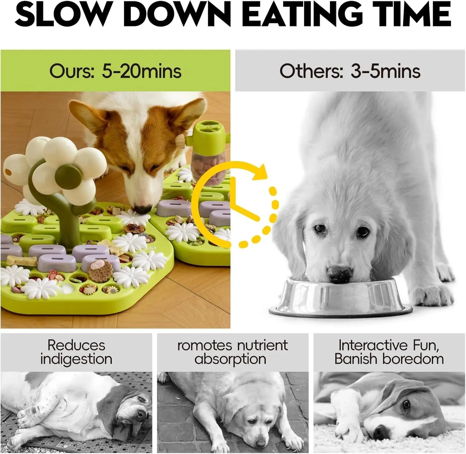 Level 4 Dog Puzzle Toy Enrichment Toys for Dogs IQ Training Dog Slow Feeder Interactive Toys for All BreedsMEWOOFUN Level 4 Dog Puzzle Toy Enrichment Toys for Dogs IQ Training Dog Slow Feeder Interactive Toys for A