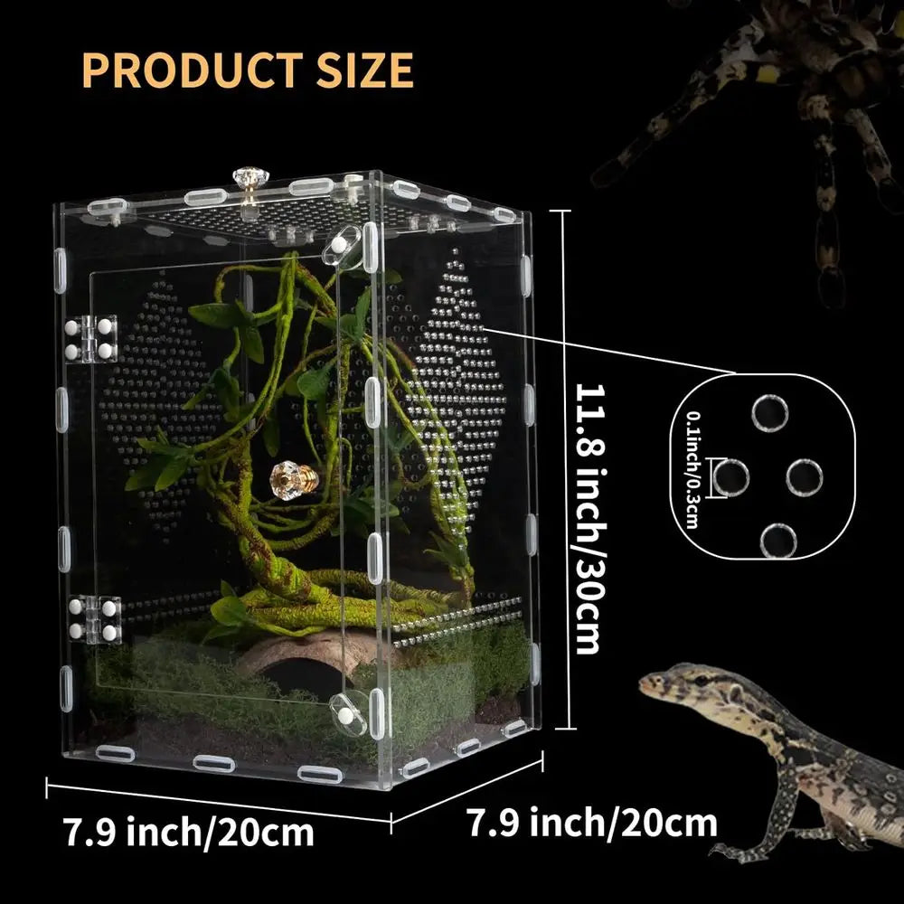 Acrylic Reptile Terrarium 360° Clear & Keep Pet Secure. Design for Jumping Spiders, Tarantulas, Geckos