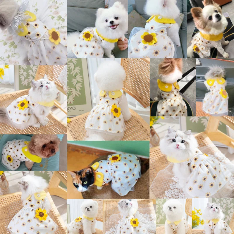 Dog/Kitten/Puppy Princess Dress, Cute Summer Dress, Bow, Lace, Korean Dog Clothes