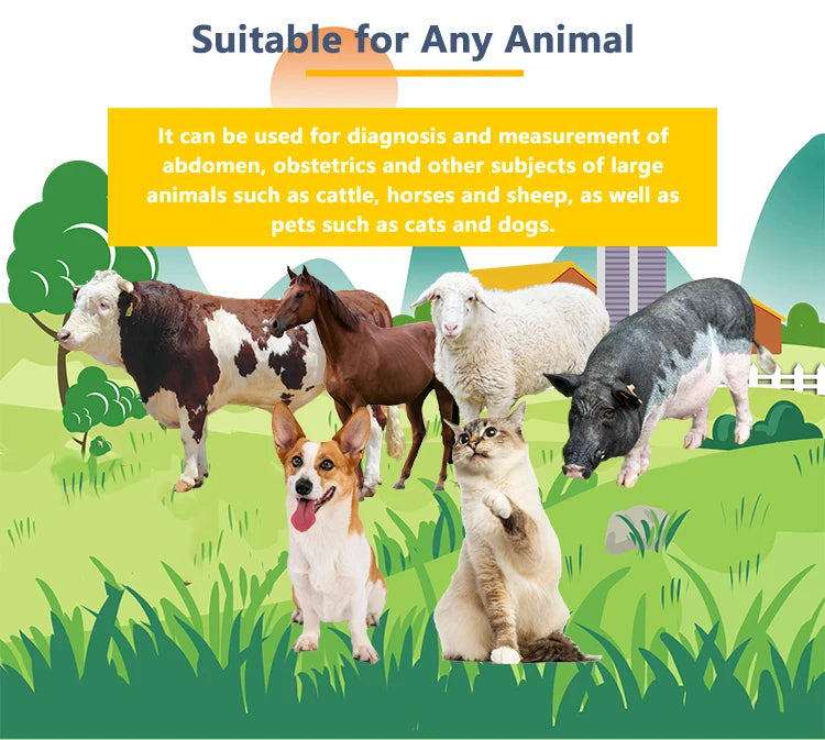 Portable Ultra Pregnancy UV Scanner Vet B-Handheld, (B, BB, 4B, B+M, M) for livestock