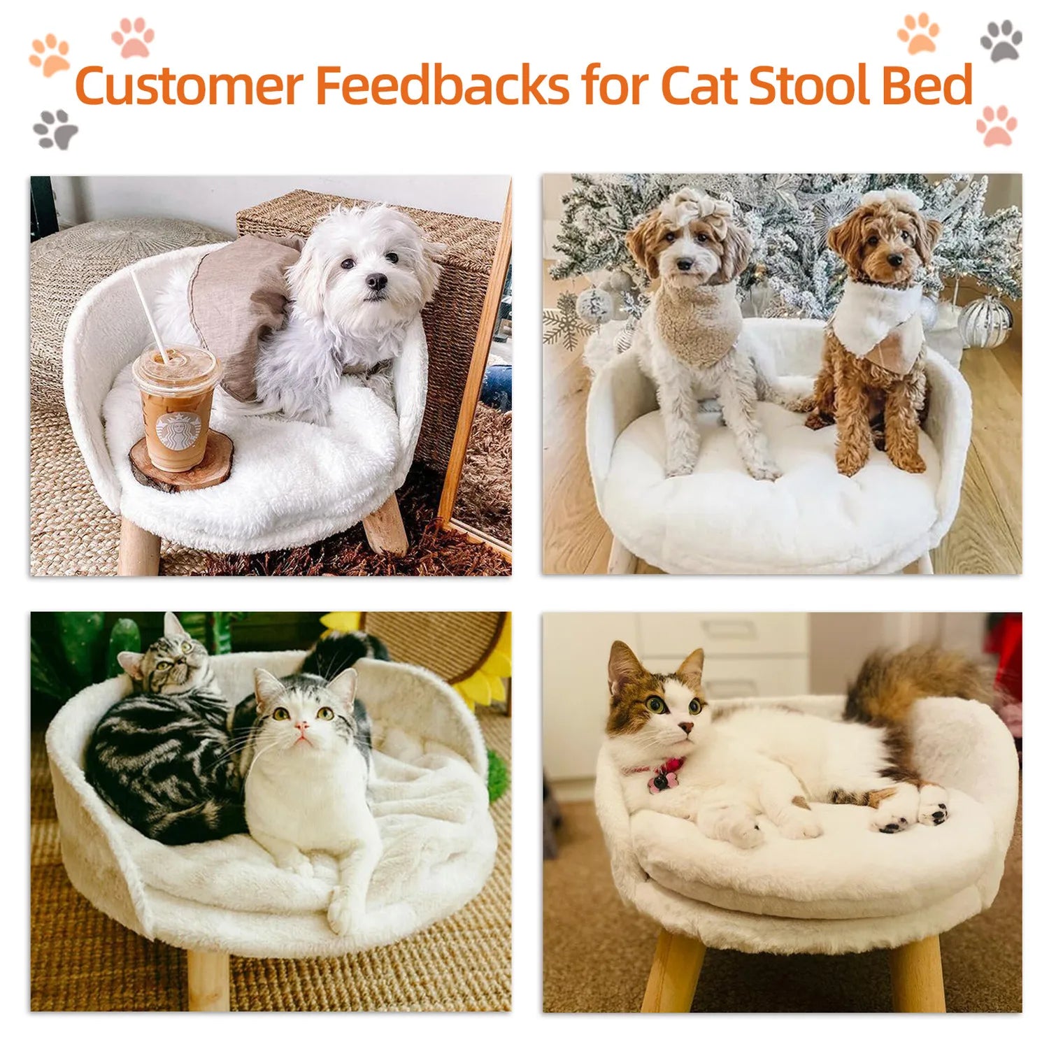 Raised Sofa Bed w/Removable Cushion Sleep House
