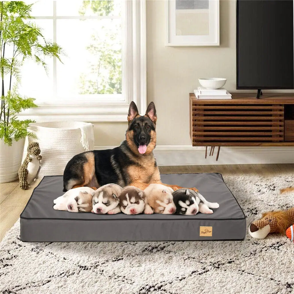 Jumbo Orthopedic Memory Foam Dog Bed, Washable, Waterproof, M, L, XL, 2XL