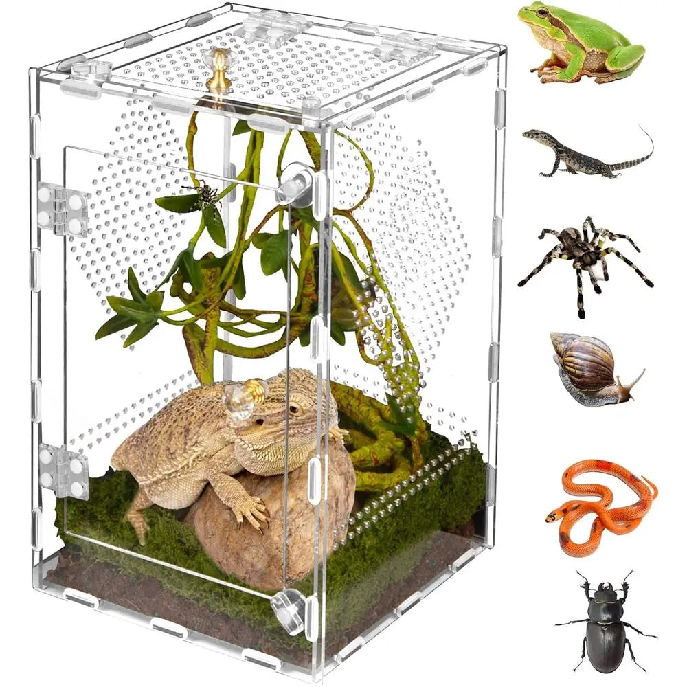 Acrylic Reptile Terrarium 360° Clear & Keep Pet Secure. Design for Jumping Spiders, Tarantulas, Geckos