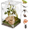 Acrylic Reptile Terrarium 360° Clear & Keep Pet Secure. Design for Jumping Spiders, Tarantulas, Geckos