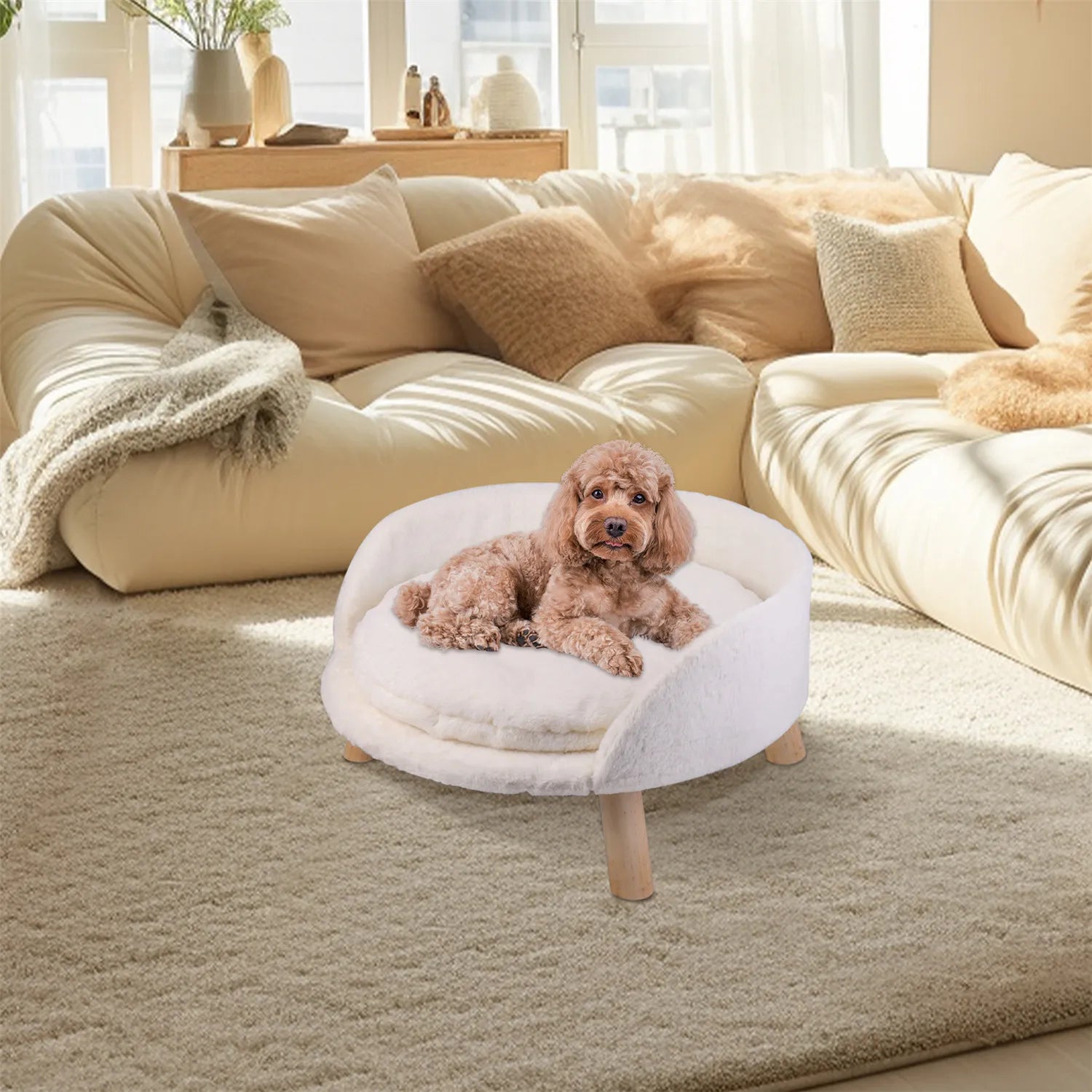 Raised Sofa Bed w/Removable Cushion Sleep House