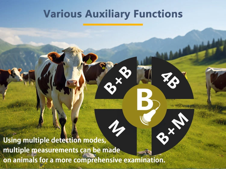 Portable Ultra Pregnancy UV Scanner Vet B-Handheld, (B, BB, 4B, B+M, M) for livestock