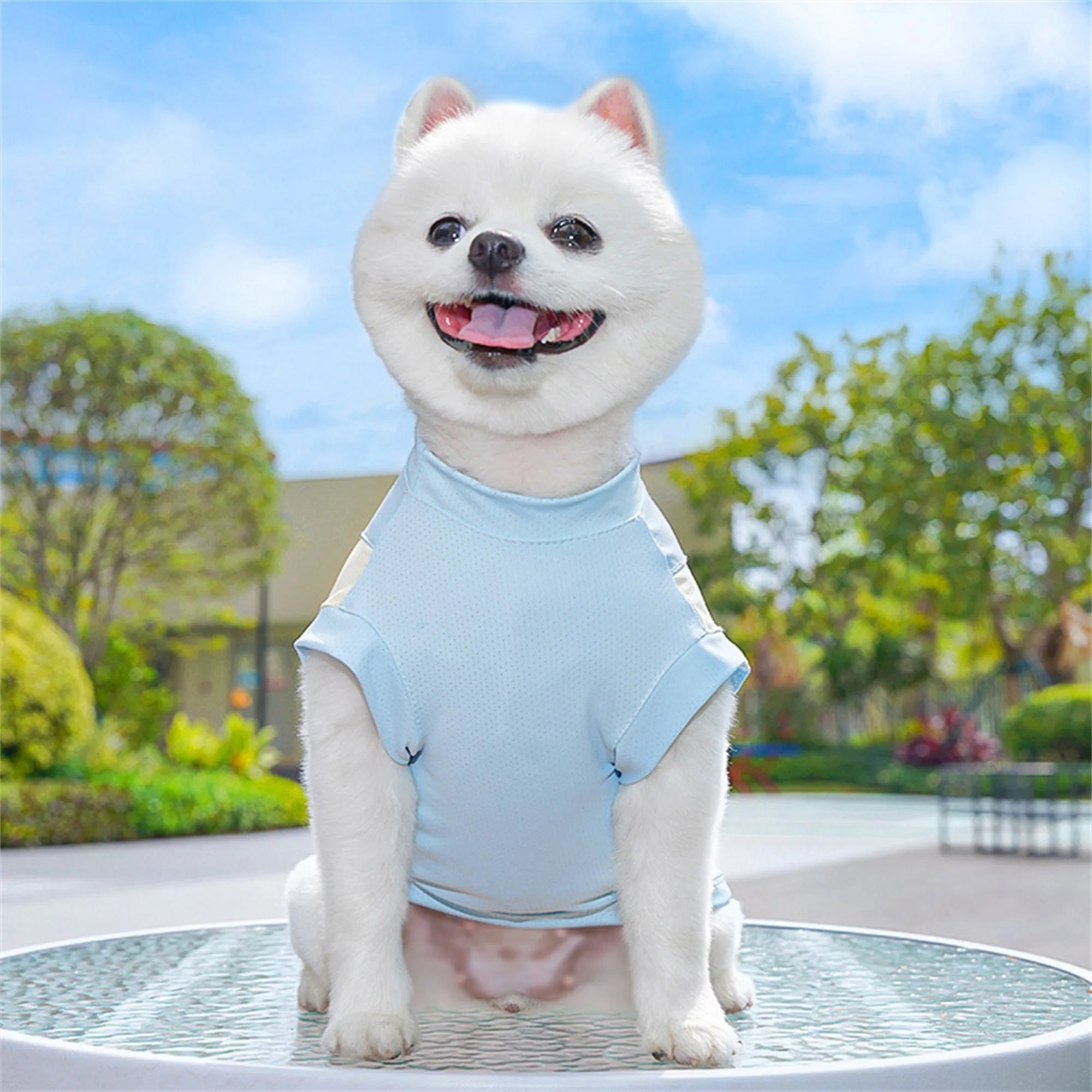 Breathable Cooling Dog T-Shirt with Ice Silk Material for Cats and Puppies
