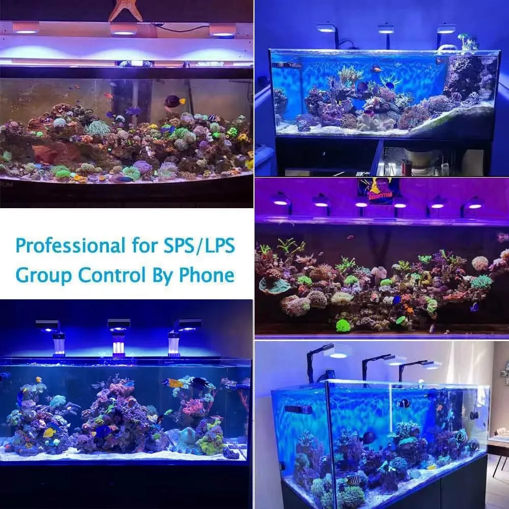 RL90 WiFi Reef Aquarium Light 100W, Professional Full Spectrum Coral SPS/LPS Fish Tank LED