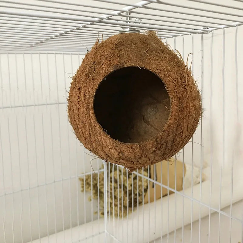 Natural Coconut Hideaway/Nest/Cage/Hanging Toy for Birds, Reptile or Hamsters