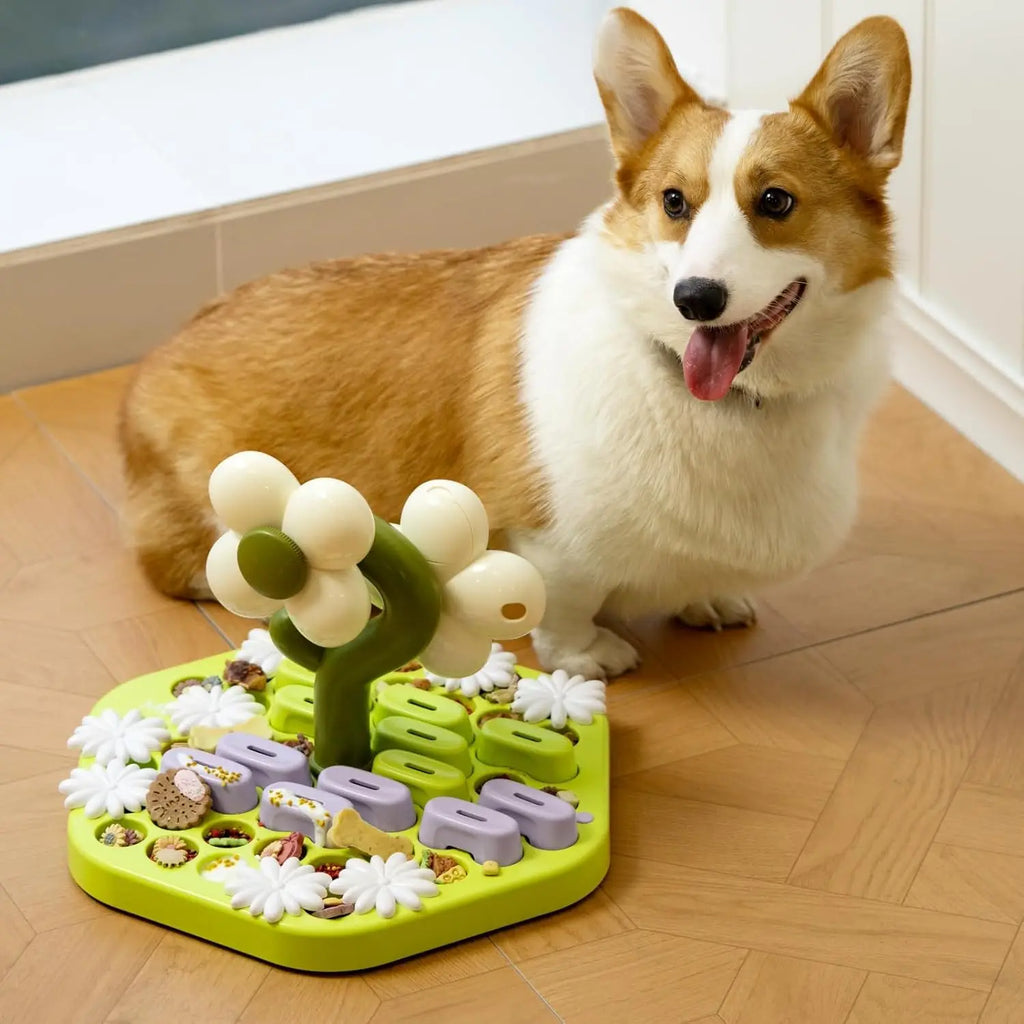 Level 4 Dog Puzzle Toy Enrichment Toys for Dogs IQ Training Dog Slow Feeder Interactive Toys for All BreedsMEWOOFUN Level 4 Dog Puzzle Toy Enrichment Toys for Dogs IQ Training Dog Slow Feeder Interactive Toys for A