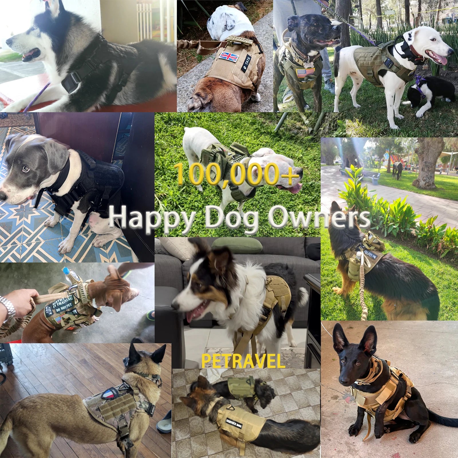 Tactical Vest Harness, Collar, Leash, Molle Pouches For Medium Large Dogs