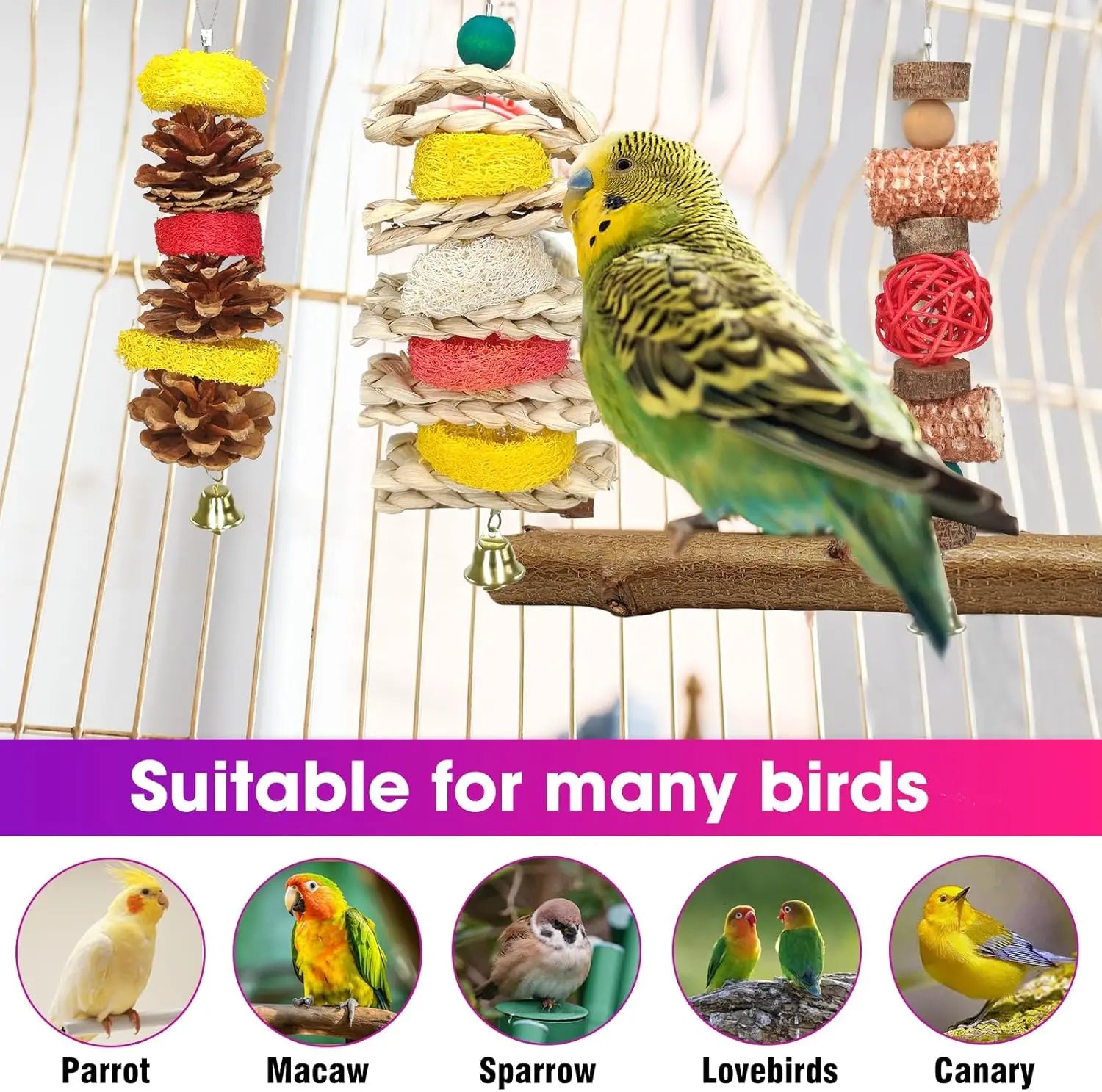 7 Pcs Natural Wood Bird Toy & Perch Accessroy for Parakeets, Cockatiel, Lovebird, and All Small/Medium Birds