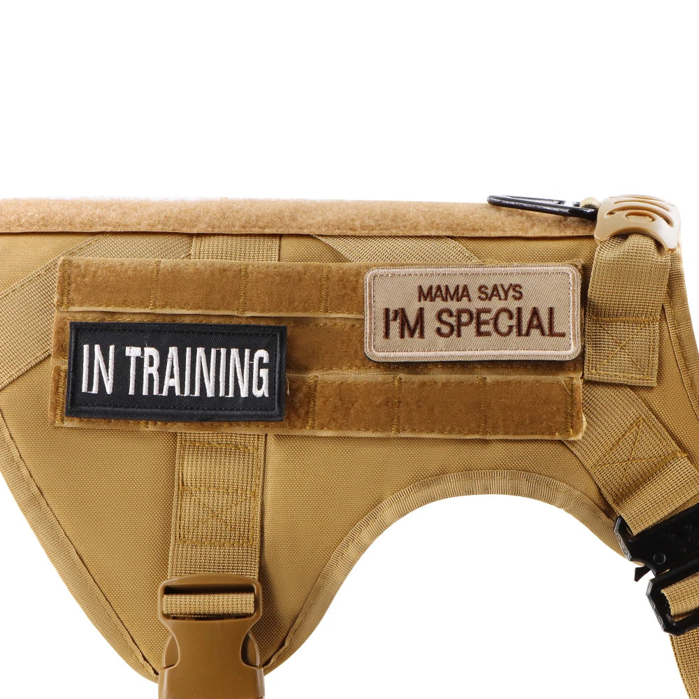 12 Pieces Personalized Patches for Tactical Vest Harness