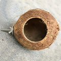 Natural Coconut Hideaway/Nest/Cage/Hanging Toy for Birds, Reptile or Hamsters