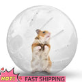 Mini Portable Pet Running Ball Accessories