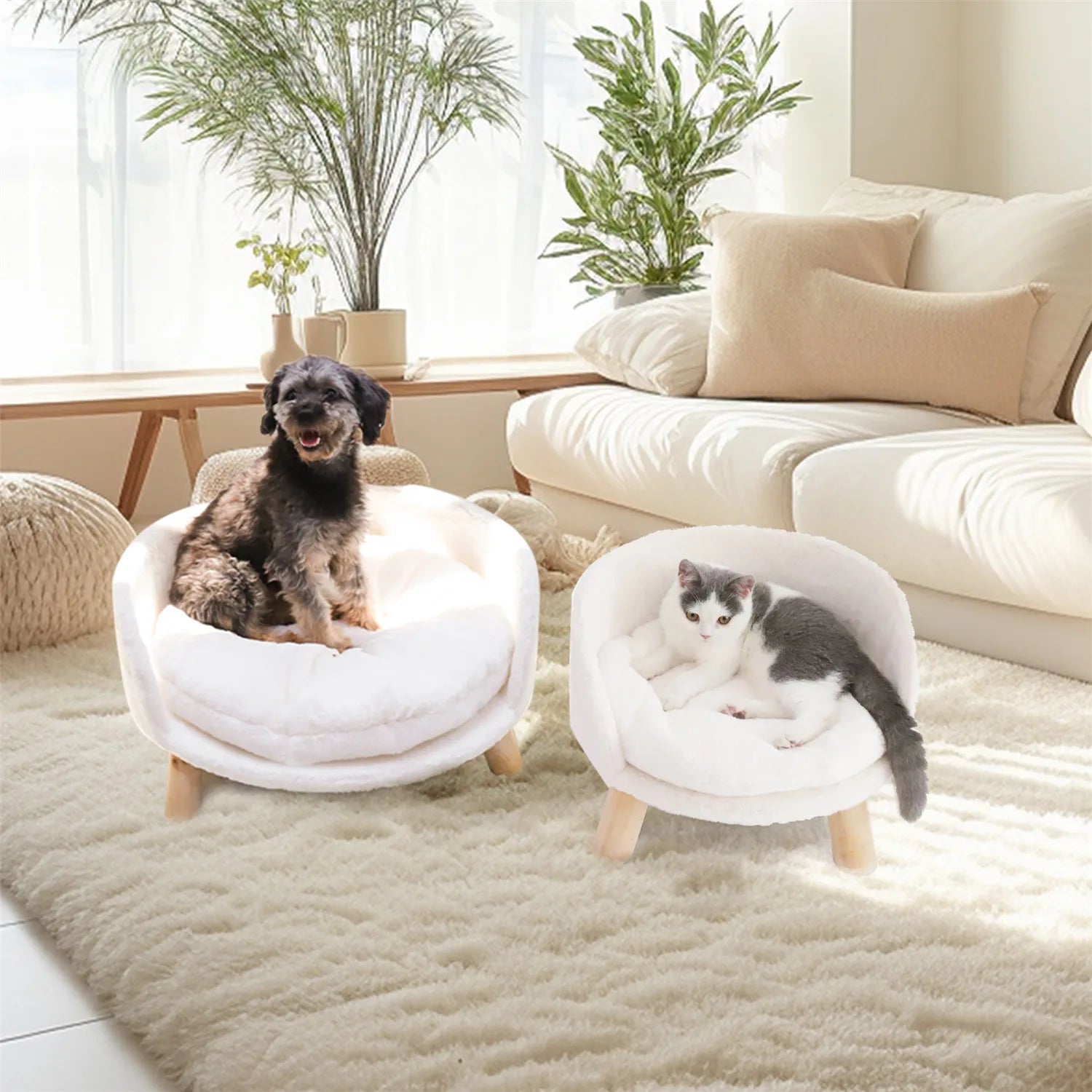 Raised Sofa Bed w/Removable Cushion Sleep House