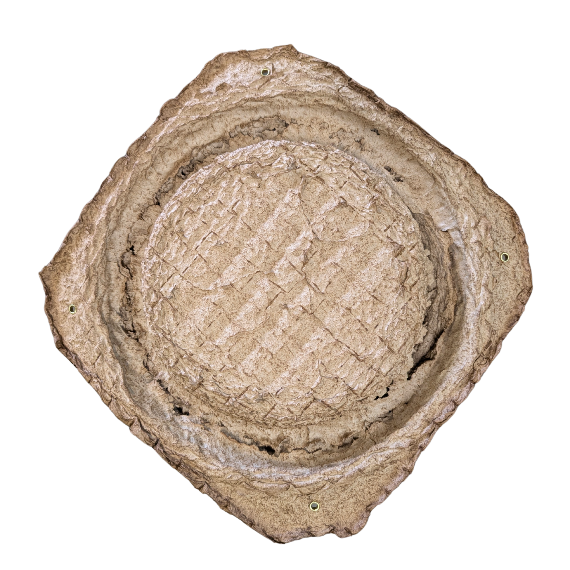 Swarm Trap - Pressed Flower Pot Style