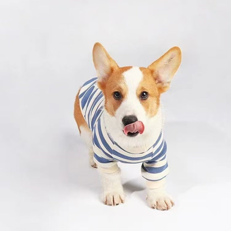 Clothes For Medium To Large Dogs Corgis And Shih Tzus