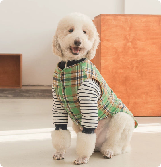 Thermal Protection Labrador Golden Retriever Samoyed Premium Pet Clothing