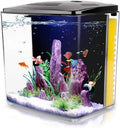 1.2 Gallon Betta Aquarium with LED Light and Filter Pump