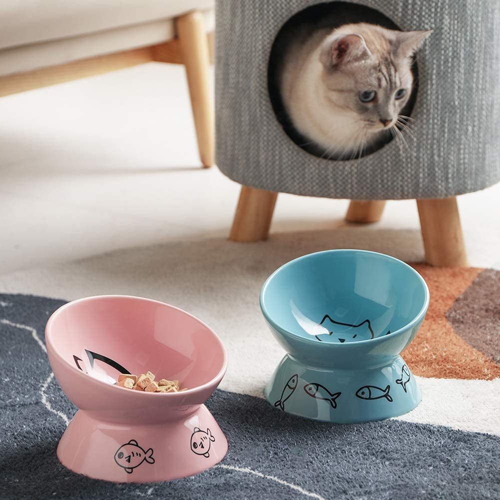 Raised Cat Bowl for Dry Wet Cat Food